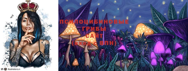 спайс Алексин